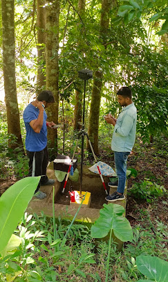 Curve Surveys & Labs